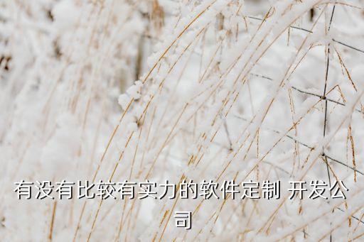 哈爾濱強(qiáng)大高科技開發(fā)有限公司,蘭州華星高科技開發(fā)有限公司