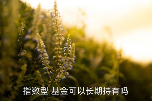 指數(shù)型 基金可以長(zhǎng)期持有嗎