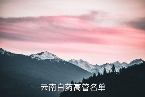  云南白藥高管名單