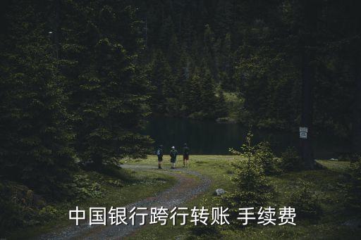  中國銀行跨行轉(zhuǎn)賬 手續(xù)費