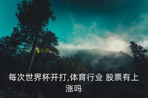 每次世界杯開打,體育行業(yè) 股票有上漲嗎