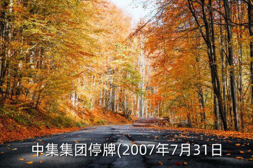 中集集團停牌(2007年7月31日