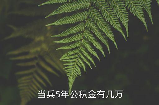  當(dāng)兵5年公積金有幾萬(wàn)