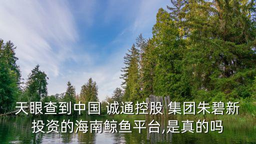 天眼查到中國(guó) 誠(chéng)通控股 集團(tuán)朱碧新投資的海南鯨魚平臺(tái),是真的嗎