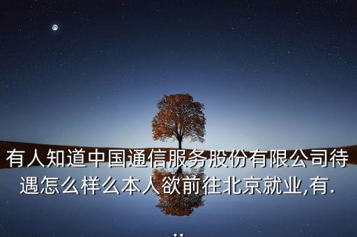 有人知道中國(guó)通信服務(wù)股份有限公司待遇怎么樣么本人欲前往北京就業(yè),有...