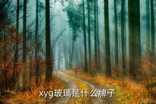 xyg玻璃是什么牌子