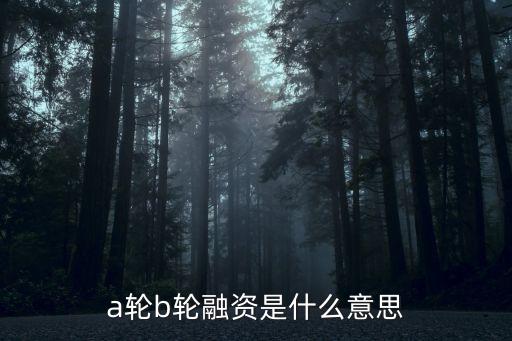 創(chuàng)業(yè)公司a輪死,b輪創(chuàng)業(yè)公司值得去嗎