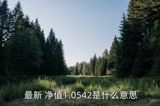  最新 凈值1.0542是什么意思