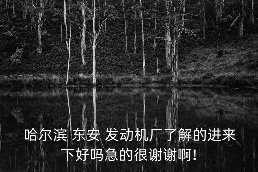  哈爾濱 東安 發(fā)動機廠了解的進來下好嗎急的很謝謝啊!