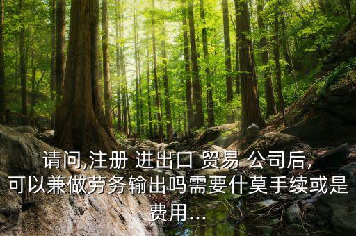 請(qǐng)問(wèn),注冊(cè) 進(jìn)出口 貿(mào)易 公司后,可以兼做勞務(wù)輸出嗎需要什莫手續(xù)或是費(fèi)用...