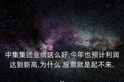 中集集團業(yè)績這么好,今年也預(yù)計利潤達到新高,為什么 股票就是起不來...