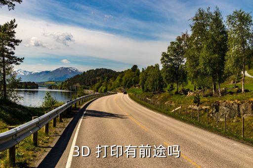 3D 打印有前途嗎