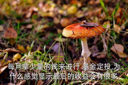 每月拿少量的錢來(lái)進(jìn)行 基金定投,為什么感覺(jué)顯示最后的收益會(huì)有很多