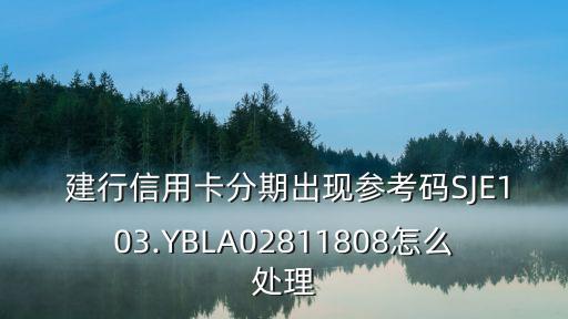  建行信用卡分期出現(xiàn)參考碼SJE103.YBLA02811808怎么處理