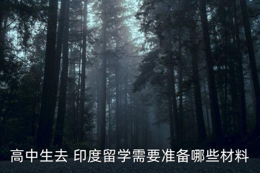 高中生去 印度留學(xué)需要準(zhǔn)備哪些材料