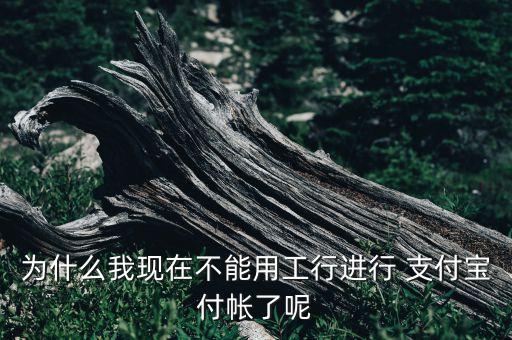 支付寶和工商銀行,第三方支付平臺轉(zhuǎn)賬個人賬戶