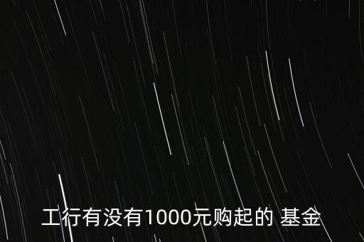 工行有沒(méi)有1000元購(gòu)起的 基金