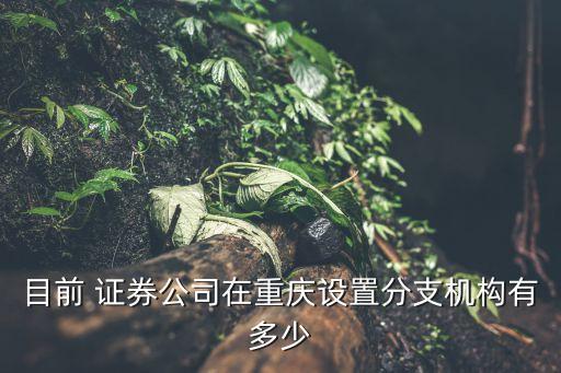 目前 證券公司在重慶設(shè)置分支機(jī)構(gòu)有多少