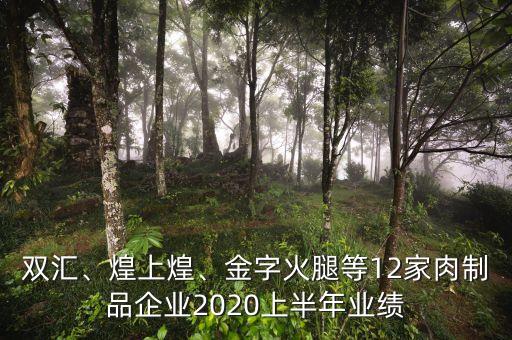 雙匯、煌上煌、金字火腿等12家肉制品企業(yè)2020上半年業(yè)績