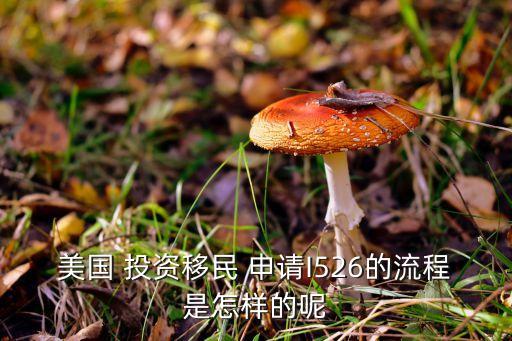 美國 投資移民 申請I526的流程是怎樣的呢