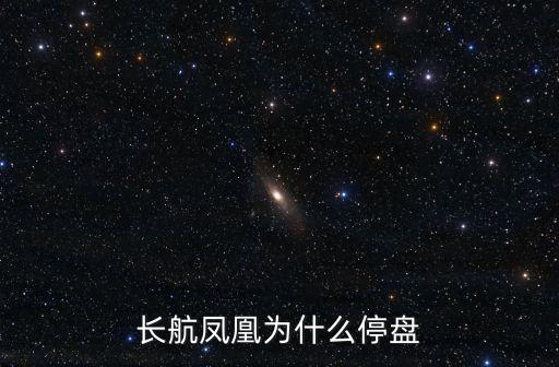 長航鳳凰為什么停盤