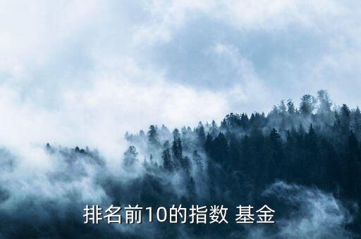 排名前10的指數(shù) 基金