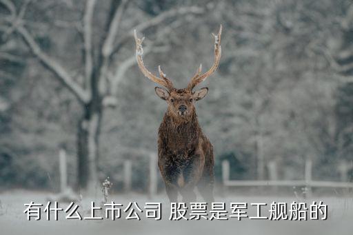 鞍山鋼鐵股票