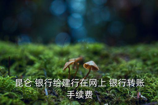  昆侖 銀行給建行在網(wǎng)上 銀行轉(zhuǎn)賬 手續(xù)費(fèi)