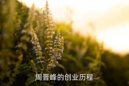 周晉峰的創(chuàng)業(yè)歷程