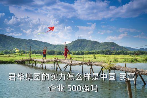 君華集團(tuán)的實(shí)力怎么樣是中國 民營 企業(yè) 500強(qiáng)嗎