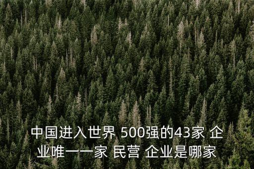 2012年中國民營企業(yè)500強(qiáng),2023年民營企業(yè)500強(qiáng)