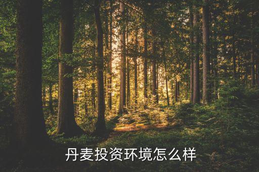 丹麥在中國(guó)公司,丹麥KK公司