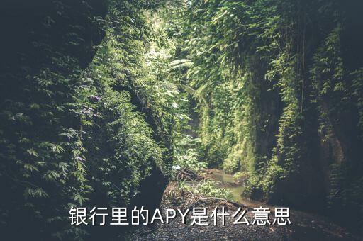 銀行里的APY是什么意思