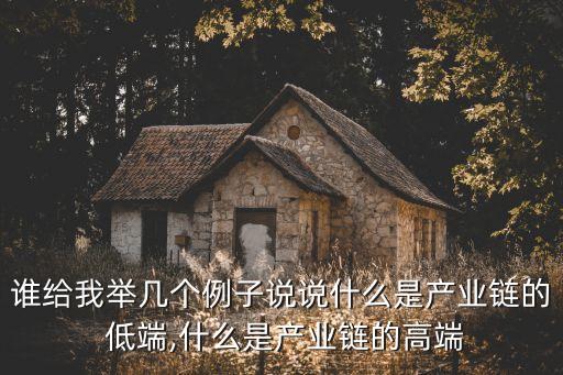 誰給我舉幾個例子說說什么是產(chǎn)業(yè)鏈的 低端,什么是產(chǎn)業(yè)鏈的高端