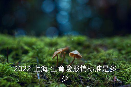 2022 上海 生育險(xiǎn)報(bào)銷(xiāo)標(biāo)準(zhǔn)是多少