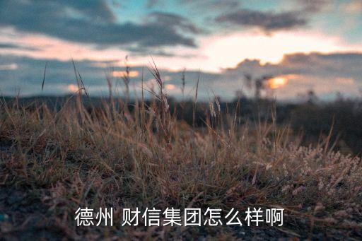 德州 財信集團(tuán)怎么樣啊