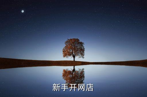 中國多少網(wǎng)民淘寶,中國有多少網(wǎng)民2023