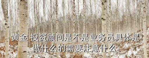  黃金 投資顧問(wèn)是不是業(yè)務(wù)員具體是做什么的需要注意什么