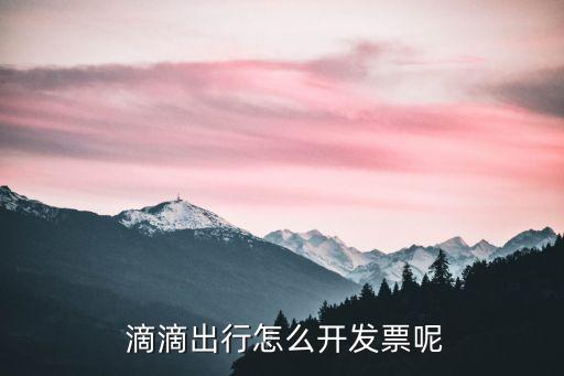  滴滴出行怎么開發(fā)票呢