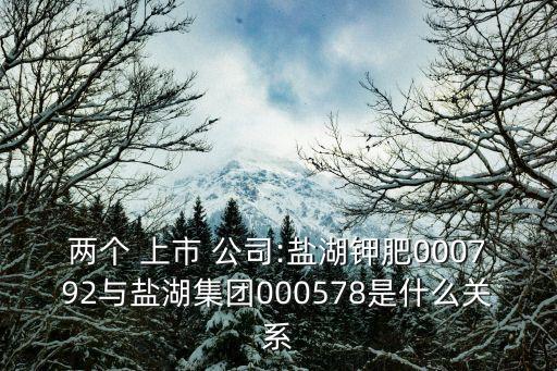 兩個 上市 公司:鹽湖鉀肥000792與鹽湖集團000578是什么關(guān)系