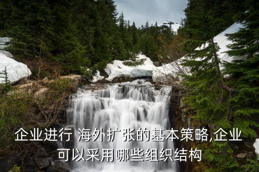 企業(yè)進行 海外擴張的基本策略,企業(yè)可以采用哪些組織結(jié)構(gòu)