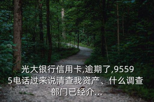  光大銀行信用卡,逾期了,95595電話過來說清查我資產(chǎn)、什么調(diào)查 部門已經(jīng)介...