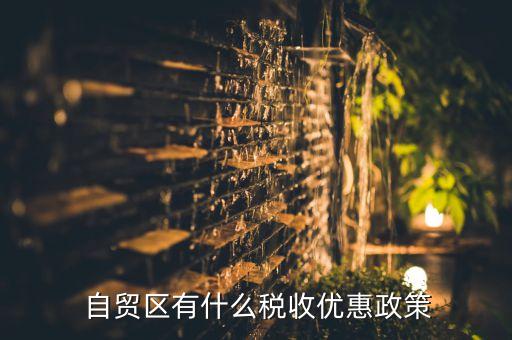  自貿(mào)區(qū)有什么稅收優(yōu)惠政策