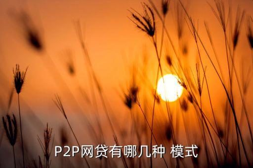 P2P網(wǎng)貸有哪幾種 模式