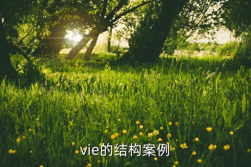 vie的結(jié)構(gòu)案例