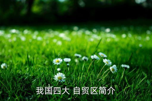 我國四大 自貿(mào)區(qū)簡(jiǎn)介