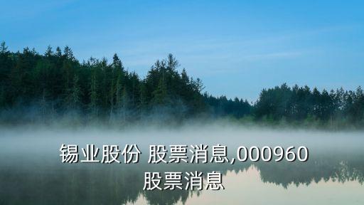  錫業(yè)股份 股票消息,000960 股票消息