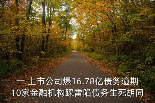 一 上市公司爆16.78億債務(wù)逾期10家金融機構(gòu)踩雷陷債務(wù)生死胡同