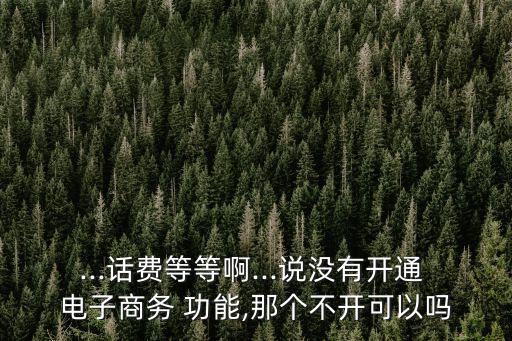 ...話費(fèi)等等啊...說沒有開通 電子商務(wù) 功能,那個(gè)不開可以嗎