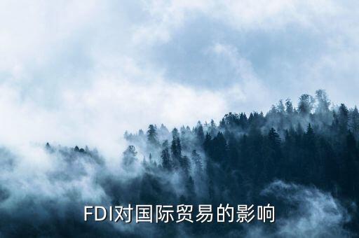 FDI對(duì)國(guó)際貿(mào)易的影響